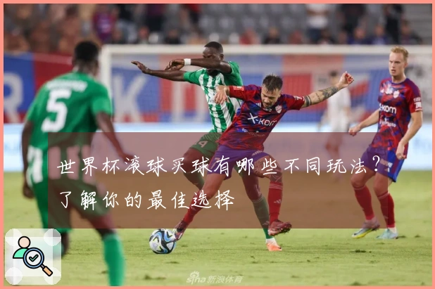世界杯滚球买球有哪些不同玩法？了解你的最佳选择