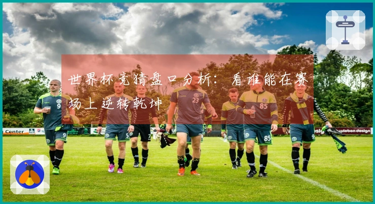 世界杯竞猜盘口分析：看谁能在赛场上逆转乾坤